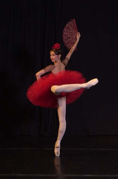 DonQuixote