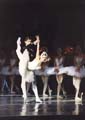 Swan Lake