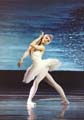 Swan Lake