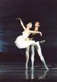 Swan Lake