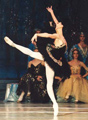 Swan Lake