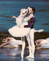Swan Lake