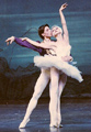 Swan Lake
