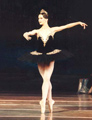 Swan Lake